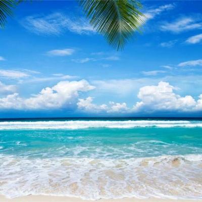 爱游戏ayx手机版登录入口